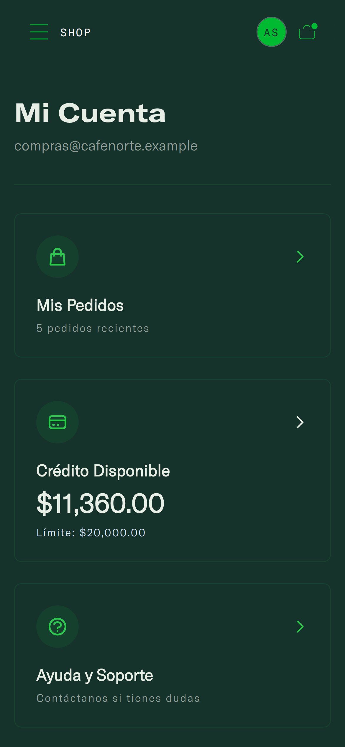 Partner portal: orders and available credit
